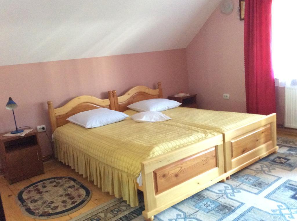 Casa Andrada & Ilinca Hotel Gura Humorului Luaran gambar