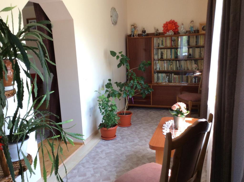 Casa Andrada & Ilinca Hotel Gura Humorului Luaran gambar