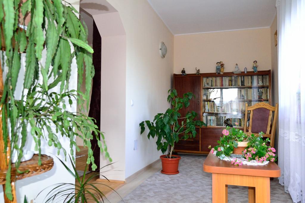 Casa Andrada & Ilinca Hotel Gura Humorului Luaran gambar
