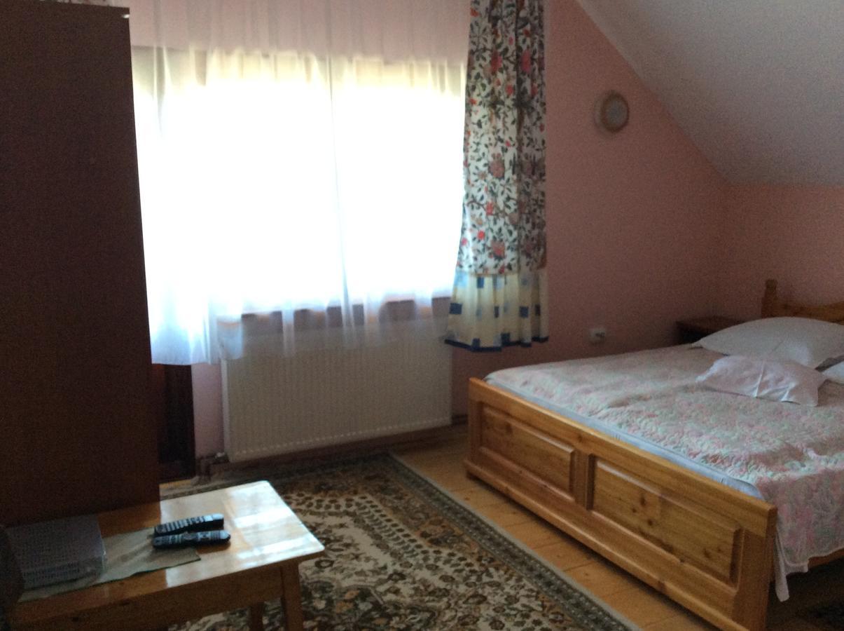 Casa Andrada & Ilinca Hotel Gura Humorului Luaran gambar